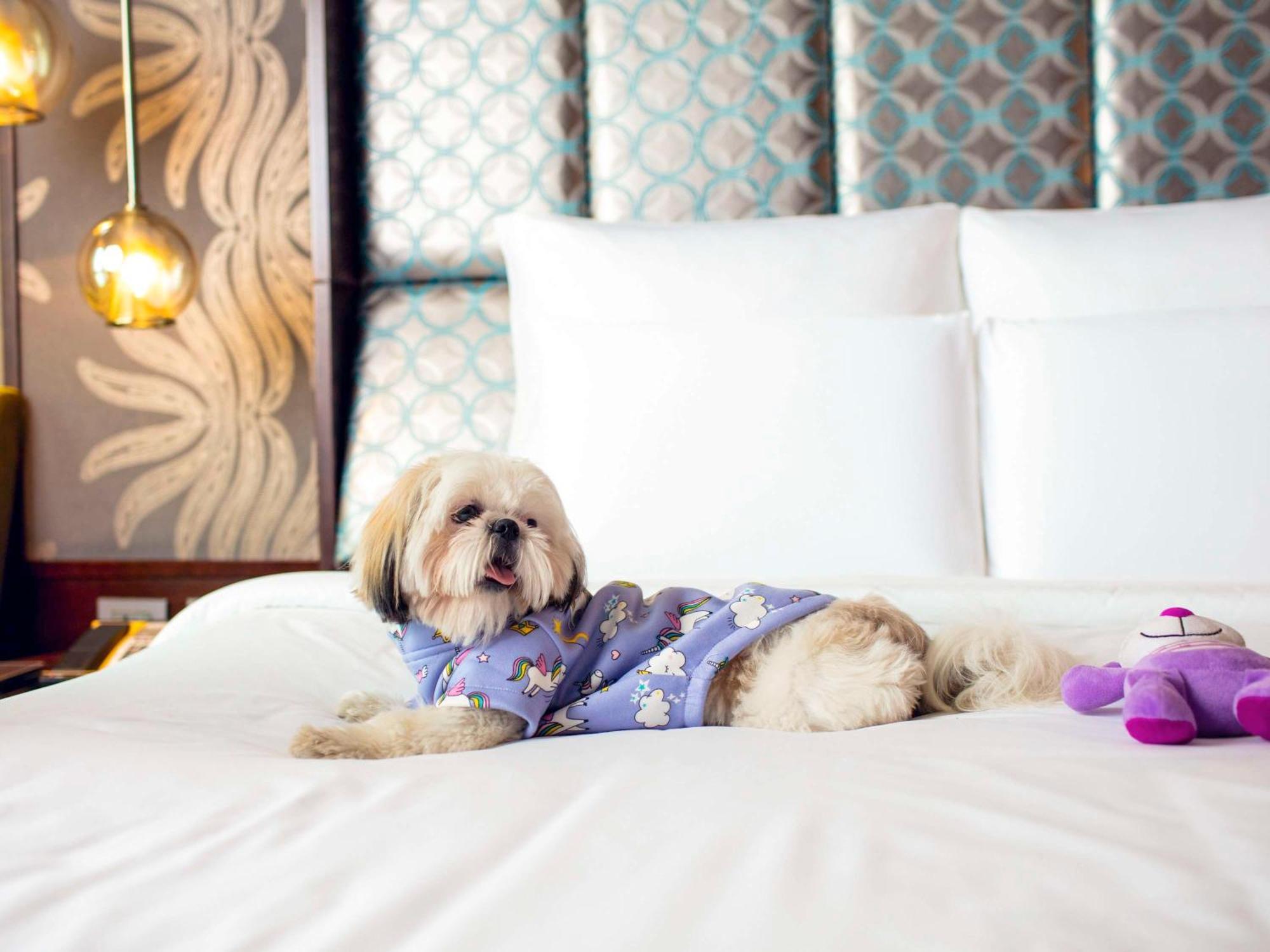 พูลแมน นิวเดลี อินเตอร์เนชั่นแนลแอร์พอร์ต - แอน แอคคอร์ลักชัวรีแบรนด์ Hotel ภายนอก รูปภาพ A dog at the Four Seasons Hotel